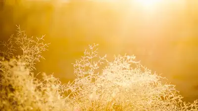 , фото — Новости Zakon.kz от 20.06.2024 17:58