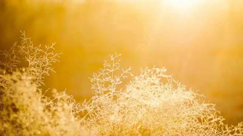 Когда спадет аномальная жара в Казахстане