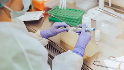 Тест, наследственность, биоматериалы  ДНК-исследования, ДНК-анализ, биоматериалы, фото - Новости Zakon.kz от 04.09.2024 12:27