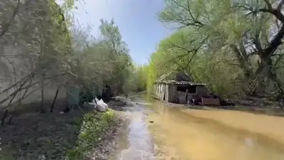 дачи в Уральске, фото - Новости Zakon.kz от 20.06.2024 22:01