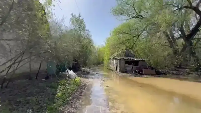 В Уральске начали сносить дачи, где постоянно проживали люди