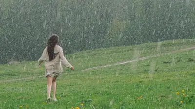 прогноз погоды дожди, фото - Новости Zakon.kz от 21.06.2024 17:24