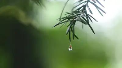 Казахстан накроет волна дождей и гроз, фото - Новости Zakon.kz от 21.06.2024 12:41