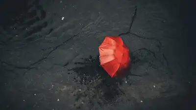 зонтик, фото - Новости Zakon.kz от 22.06.2024 16:39