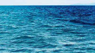 море, фото - Новости Zakon.kz от 22.06.2024 13:02