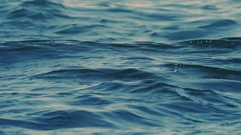 Тонувшую женщину вытащили из воды спасатели Абайской области