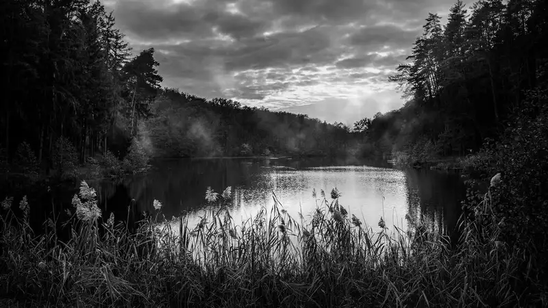 Павлодарские спасатели ищут тело утонувшего в Иртыше мужчины