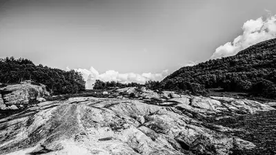 , фото - Новости Zakon.kz от 23.06.2024 14:24