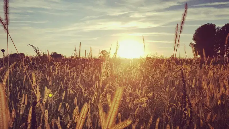 В Казахстан придет 46-градусная жара