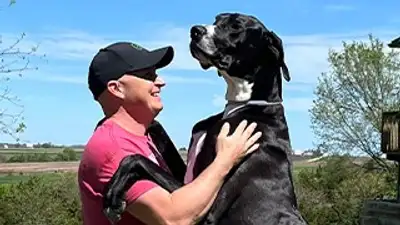 Книга рекордов Гиннесса, фото - Новости Zakon.kz от 26.06.2024 03:43