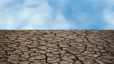 Казахстан, прогноз, синоптики , фото - Новости Zakon.kz от 25.06.2024 20:09