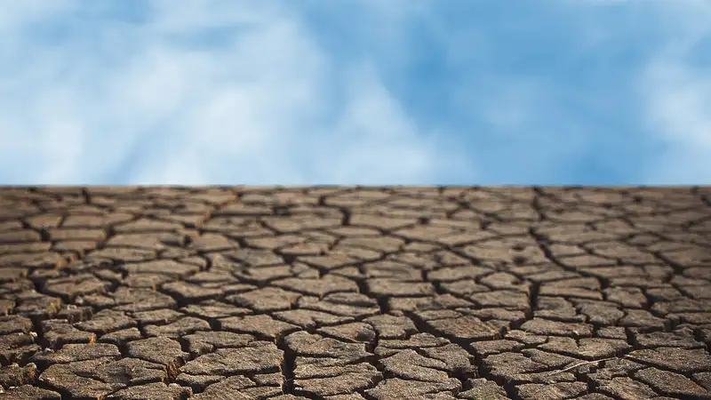 В каких регионах Казахстана ожидается засуха, рассказали синоптики