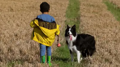 Двое детей заболели эхинококкозом в Мангистауской области , фото - Новости Zakon.kz от 28.06.2024 20:05