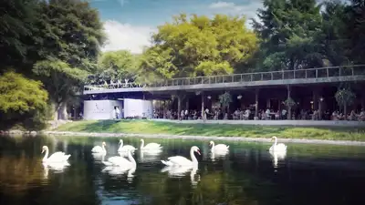 Восстановление кафе Аққу в Алматы, фото - Новости Zakon.kz от 29.06.2024 11:03