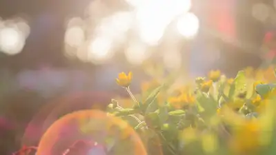 как спастись от жары, фото - Новости Zakon.kz от 28.06.2024 10:44