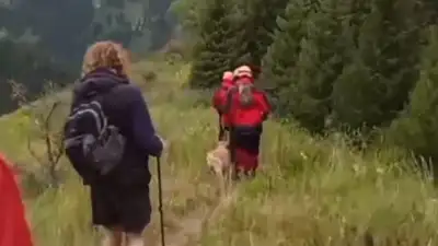 Гражданин Великобритании заблудился в горах Алматинской области, фото - Новости Zakon.kz от 29.06.2024 08:41