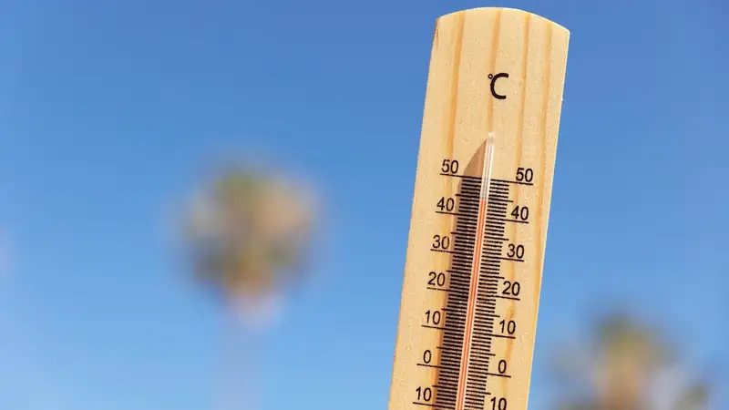 Сильная жара сохранится в пяти областях Казахстана