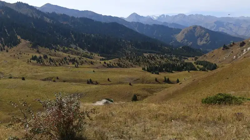 Спасатели нашли потерявшихся в алматинских горах подростков