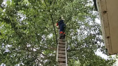 , фото - Новости Zakon.kz от 30.06.2024 13:53