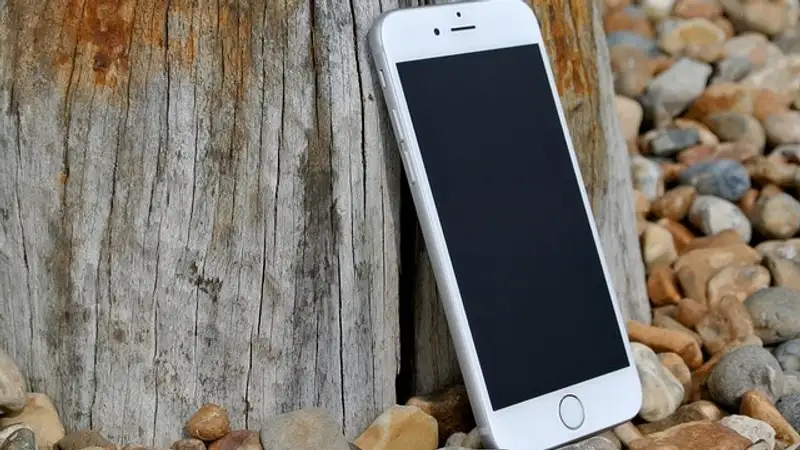 Аномальная жара: как уберечь смартфоны от перегрева