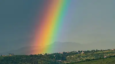 Известный фотограф поделился красивыми снимками Алматы после дождя, фото - Новости Zakon.kz от 01.07.2024 18:34