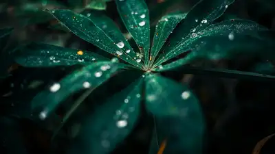 Грозы и дожди не уходят: погода в Алматы и Астане на 3 дня, фото - Новости Zakon.kz от 02.07.2024 16:59