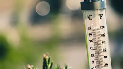 Жара до 43 градусов ожидается в Казахстане, фото - Новости Zakon.kz от 03.07.2024 11:28