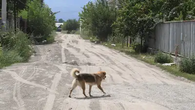 Несколько сел упразднят в Туркестанской области, фото - Новости Zakon.kz от 03.07.2024 15:17