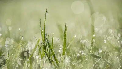 Дожди с грозами, градом и шквалом накроют Казахстан, фото - Новости Zakon.kz от 03.07.2024 18:03