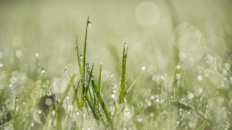 Дожди с грозами, градом и шквалом накроют Казахстан