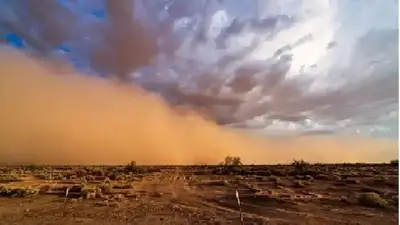 штормовое предупреждение, фото - Новости Zakon.kz от 04.07.2024 20:00