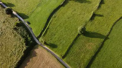 Более 22 тысяч га неиспользуемых земель вернули государству в Актюбинской области, фото - Новости Zakon.kz от 04.07.2024 17:55