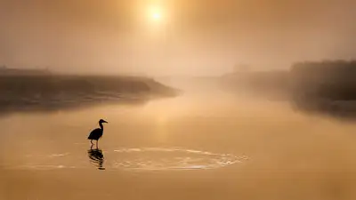 Пять человек оказались в ловушке посреди реки в Жетысуской области , фото - Новости Zakon.kz от 06.07.2024 00:12