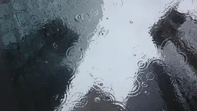 В Сети завирусилось видео с полицейским, укрывшим зрителя на стадионе от дождя, фото - Новости Zakon.kz от 06.07.2024 01:15