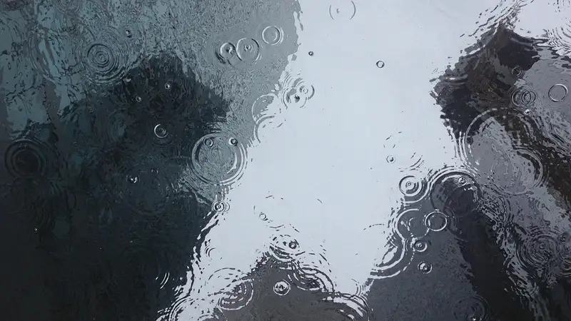 В Сети завирусилось видео с полицейским, укрывшим зрителя на стадионе от дождя