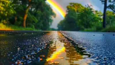 дождь, фото - Новости Zakon.kz от 06.07.2024 17:39