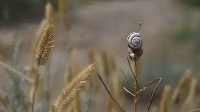 В двух городах Казахстана прогнозируют неблагоприятные метеоусловия, фото - Новости Zakon.kz от 08.07.2024 05:55