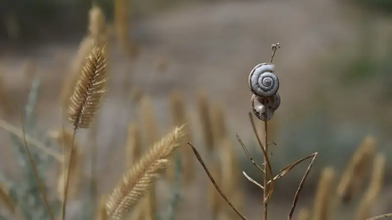 В двух городах Казахстана прогнозируют неблагоприятные метеоусловия