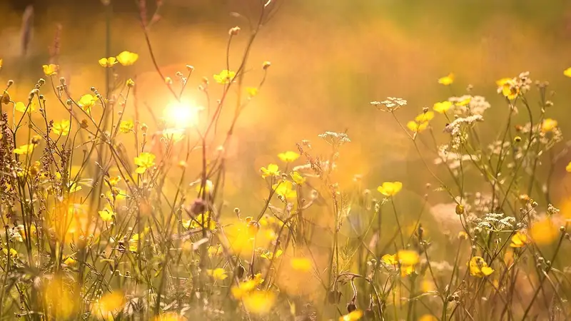 Сильная жара, град и шквал: в Алматы и 13 областях объявлено штормовое предупреждение