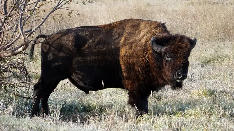 Зоопарк Шымкента похвастался историческим событием