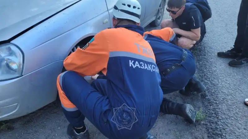 В Усть-Каменогорске спасли собаку, которая застряла под машиной