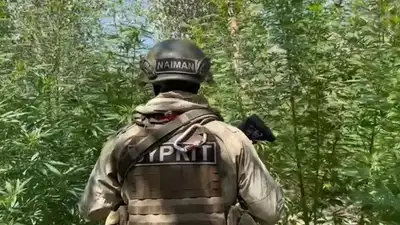 Во время спецоперации полицейские изъяли 13 тонн наркотиков, фото - Новости Zakon.kz от 12.07.2024 12:02