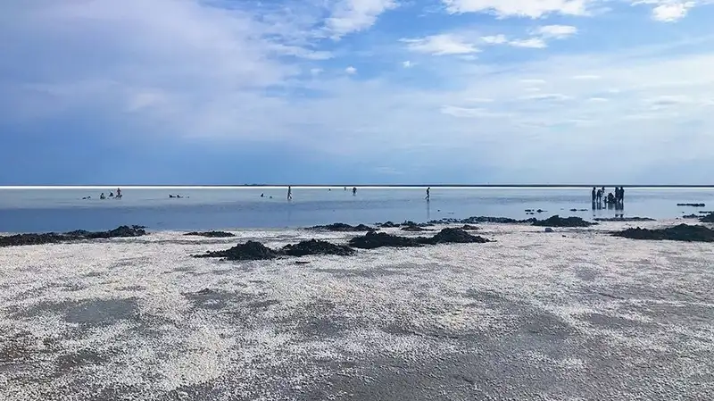 Можно ли обезопасить озеро Индер? Как сделать так, чтобы развивать регион и сохранить экологию?