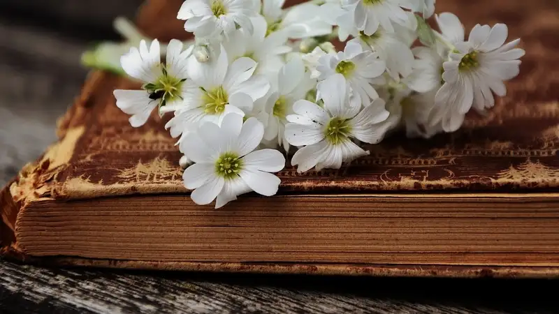 100 лучших книг XXI века опубликовало издание The New York Times