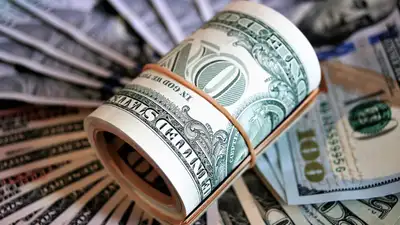 доллары, фото - Новости Zakon.kz от 14.07.2024 15:40