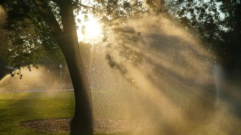 Сильный ветер с пыльной бурей и дожди накроют Казахстан 16 июля