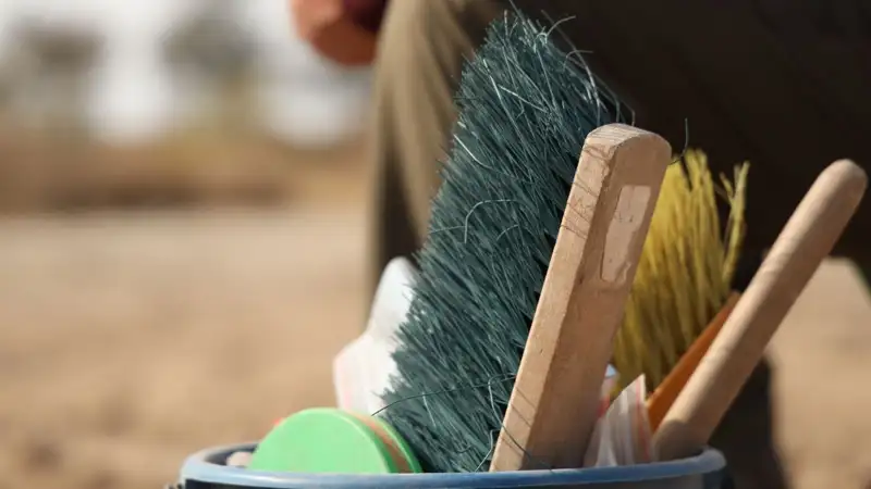 Уникальный артефакт эпохи бронзы нашли в Павлодарской области