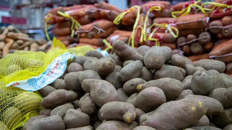 В Алматы стабилизируют цены на картофель, морковь, лук и капусту