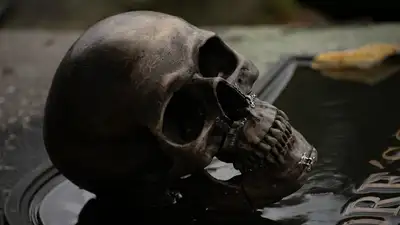 череп, останки человека, открытие, ученные, фото - Новости Zakon.kz от 19.07.2024 00:24