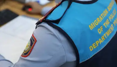 Больше 180 человек выявлены с двойным гражданством в Казахстане в 2024 году, фото - Новости Zakon.kz от 18.07.2024 19:22